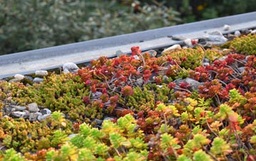 the cost of Balnakeil green roof installation